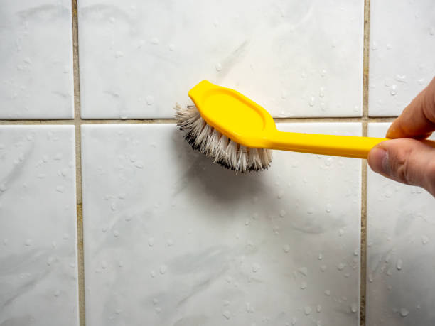 Best Mold Removal Near Me  in Pine Knoll Shores, NC